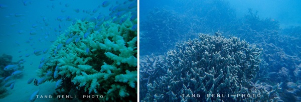 唐人立日本骑游记 唐人立日本骑游记