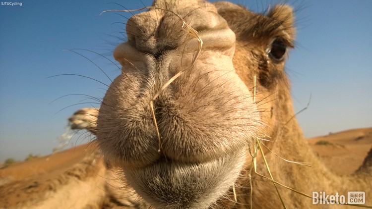 а ԭϰҲԵ桷_BIKETOƵ