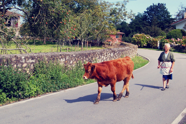 Journal_Tom-Owen_Vuelta-The-Spanish-Tour_09.jpg Journal_Tom-Owen_Vuelta-The-Spanish-Tour_09.jpg