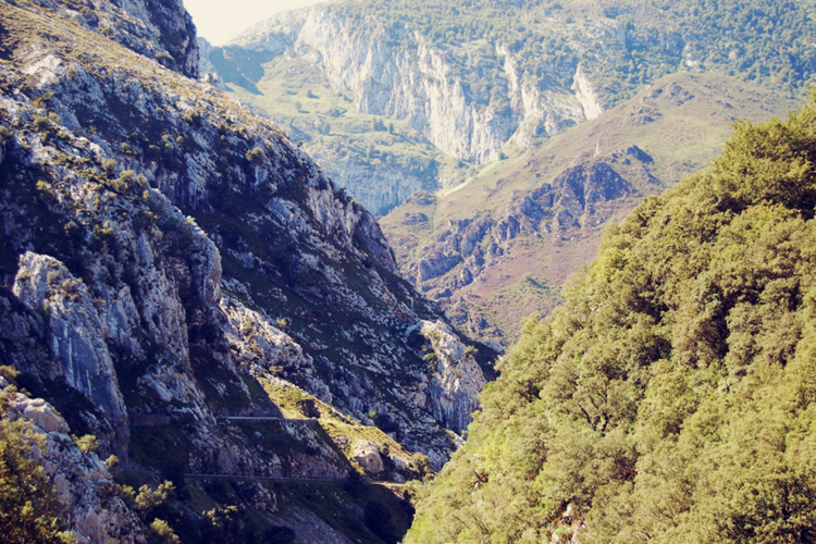 Journal_Tom-Owen_Vuelta-The-Spanish-Tour_01.jpg Journal_Tom-Owen_Vuelta-The-Spanish-Tour_01.jpg