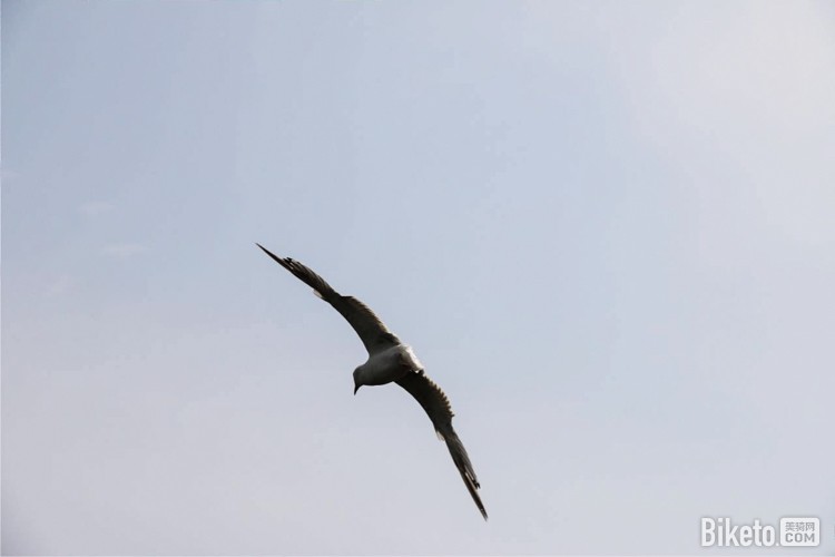 ﺣ[1]̵Ѽ̽_BIKETOƵ