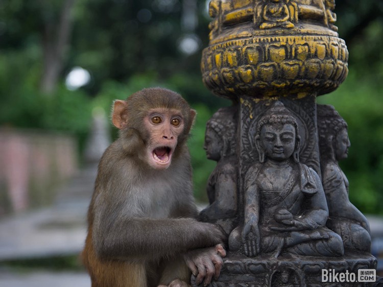 ���ɴ�Խ����