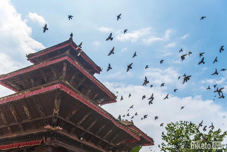 ���ɴ�Խ����