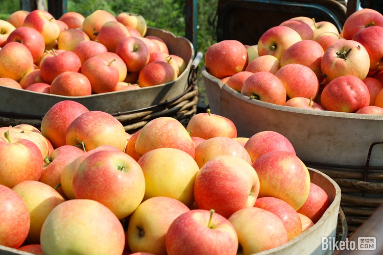 ﺣ[4]ùԵζ_BIKETOƵ