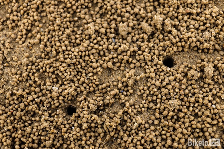 ﺣ[5]׳ĺš_BIKETOƵ