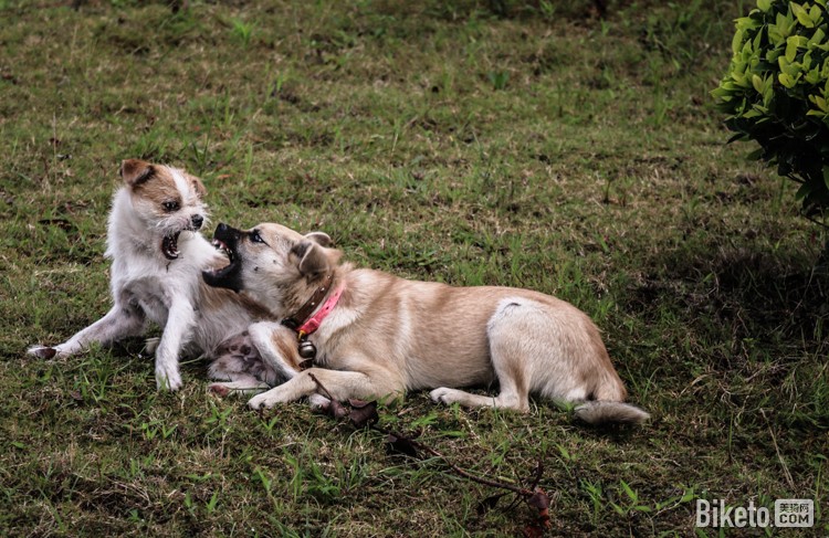 ﺣ[6]İձ̾_BIKETOƵ