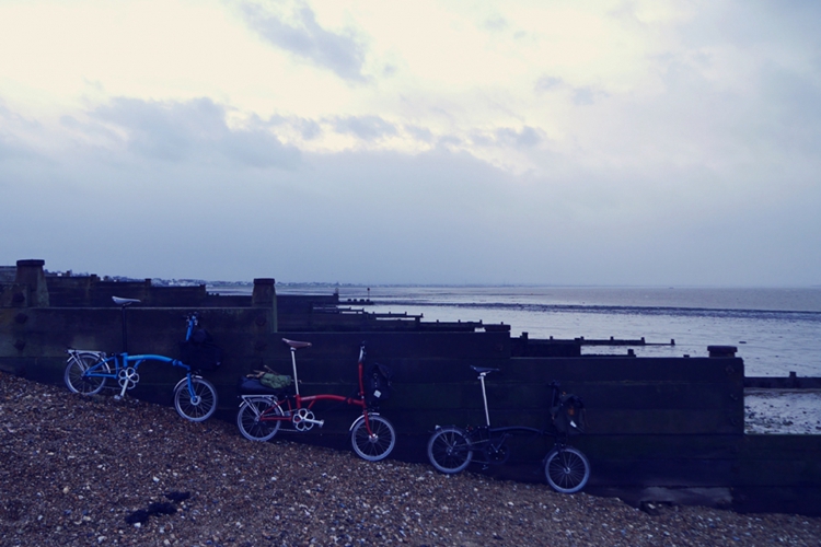 折叠小布骑游海滨小镇:牡蛎、柠檬和香菜|单车