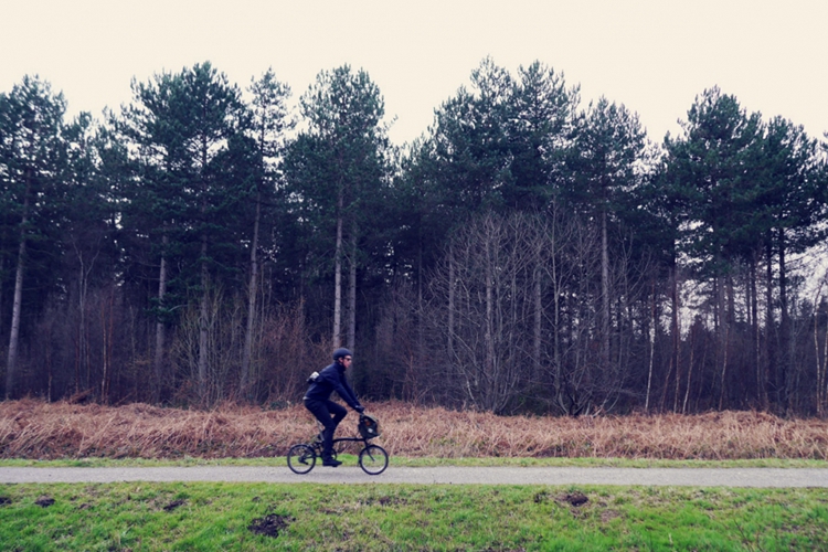 Journal_MyUnseenCity-Brompton_Whitstable-Scallops-Lemon-Parsley_9.jpg Journal_MyUnseenCity-Brompton_Whitstable-Scallops-Lemon-Parsley_9.jpg