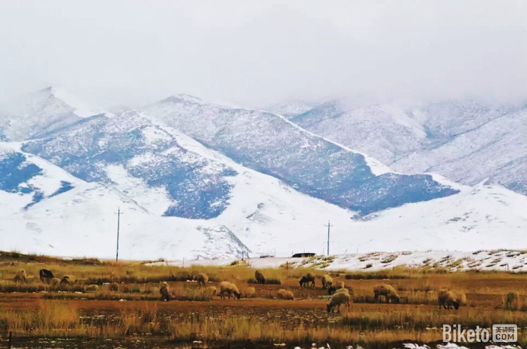 ү ȤֺŵĻຣμǡ_BIKETOƵ