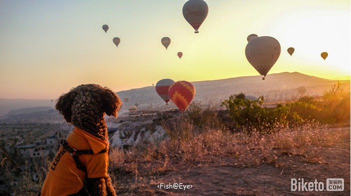 25000���� �����Լ��İ���һ�������20������