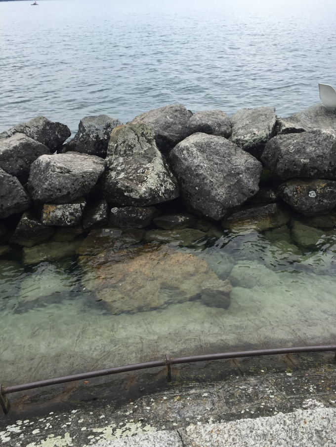 ͵�ø���һ���У�������С�����μ�