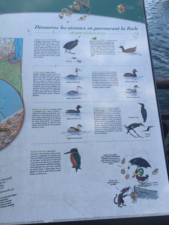 ͵�ø���һ���У�������С�����μ�