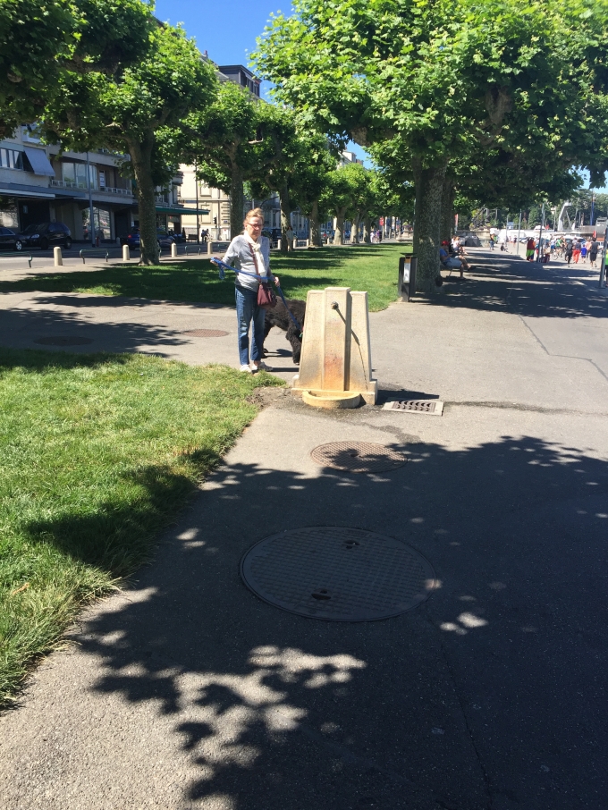 ͵�ø���һ���У�������С�����μ�