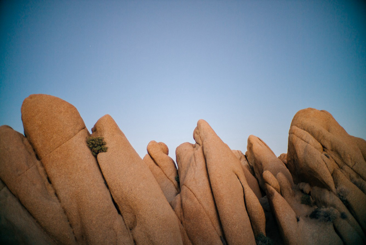 ��������,�����μ�,�������ҹ�԰,Ī��άɳĮ,��������ɳĮ