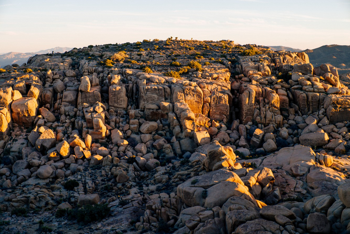 ��������,�����μ�,�������ҹ�԰,Ī��άɳĮ,��������ɳĮ