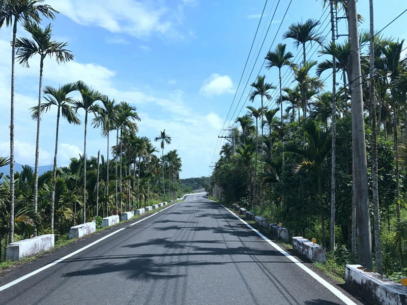 台湾东线骑游记(3) 台湾东线骑游记(3)