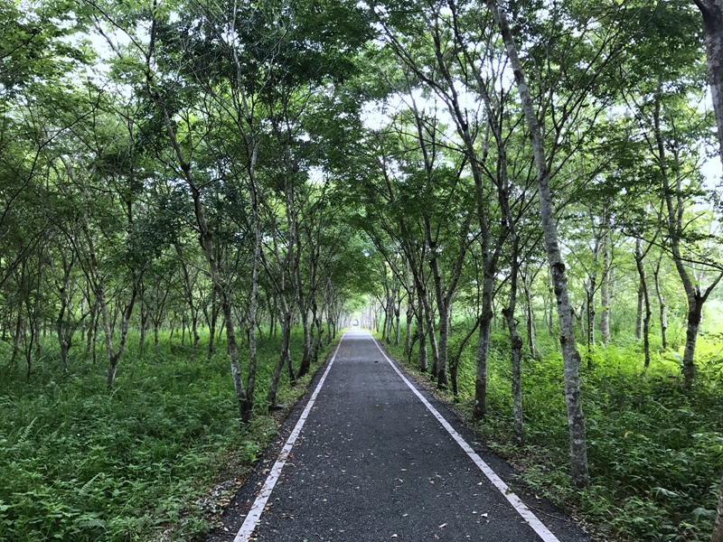 台湾东线骑游记(3) 台湾东线骑游记(3)