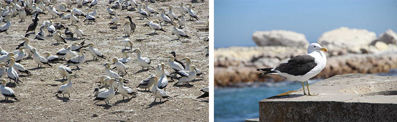 �����μ�,��������,��������,��������,��������¹�Ȩ,�Ϸ�����