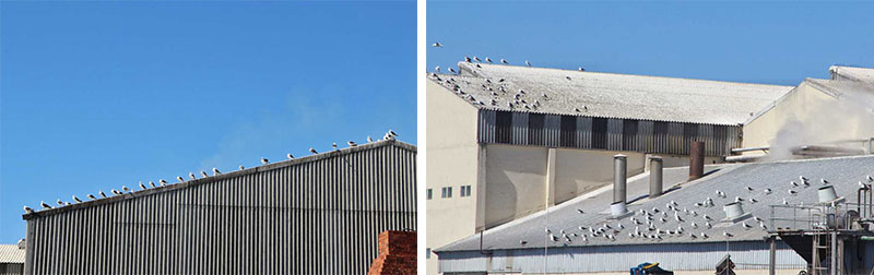 �����μ�,��������,��������,��������,��������¹�Ȩ,�Ϸ�����