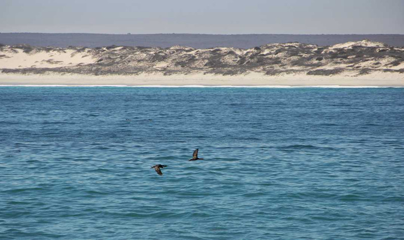 �����μ�,��������,��������,��������,��������¹�Ȩ,�Ϸ�����