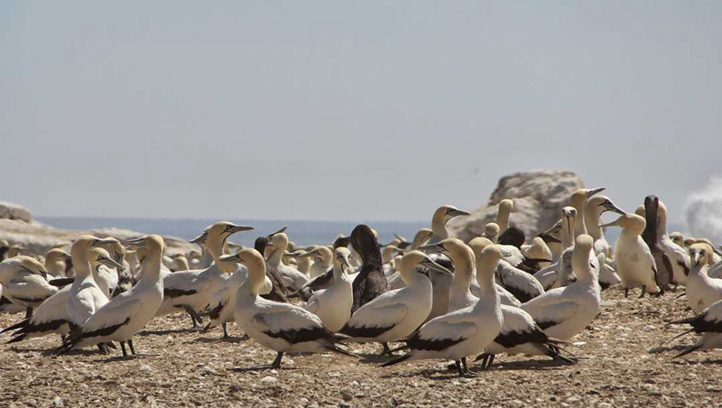 �����μ�,��������,��������,��������,��������¹�Ȩ,�Ϸ�����