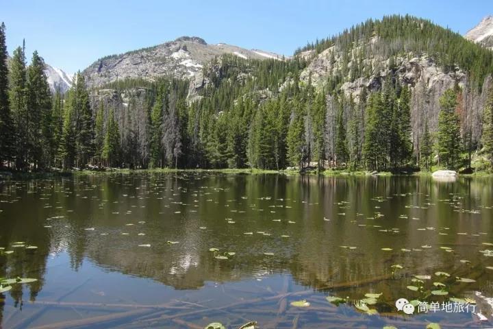 �����ݹ����޴�½