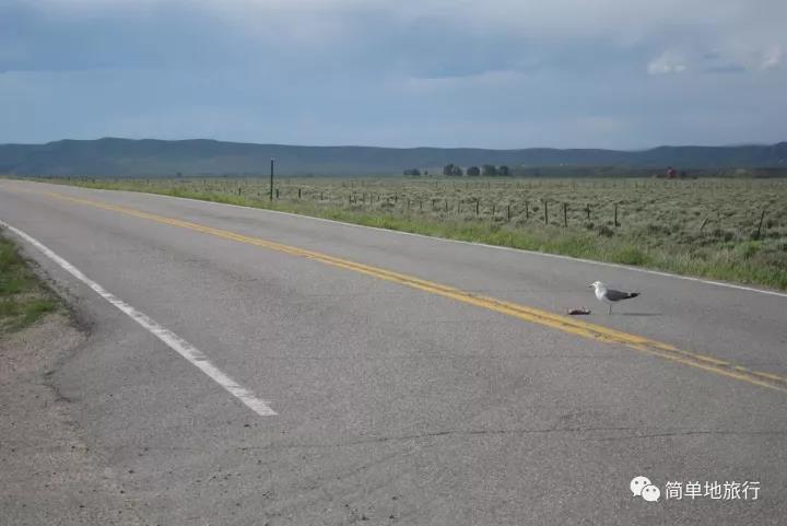 美骑纵贯美洲大陆 美骑纵贯美洲大陆