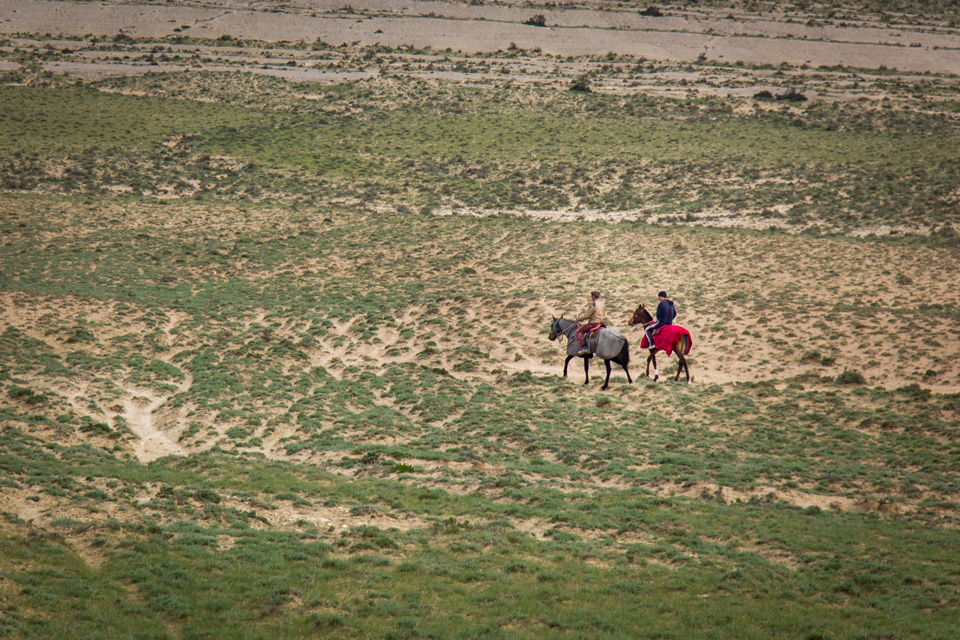 ����-��ɫɳĮ����֮��