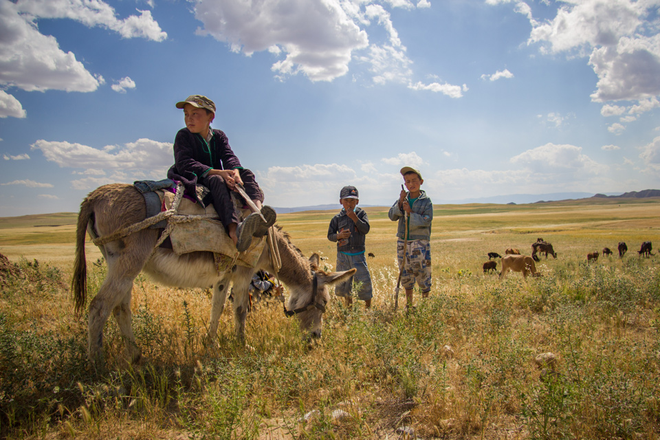 ����-��ɫɳĮ����֮��