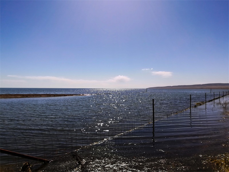 青海湖 青海湖