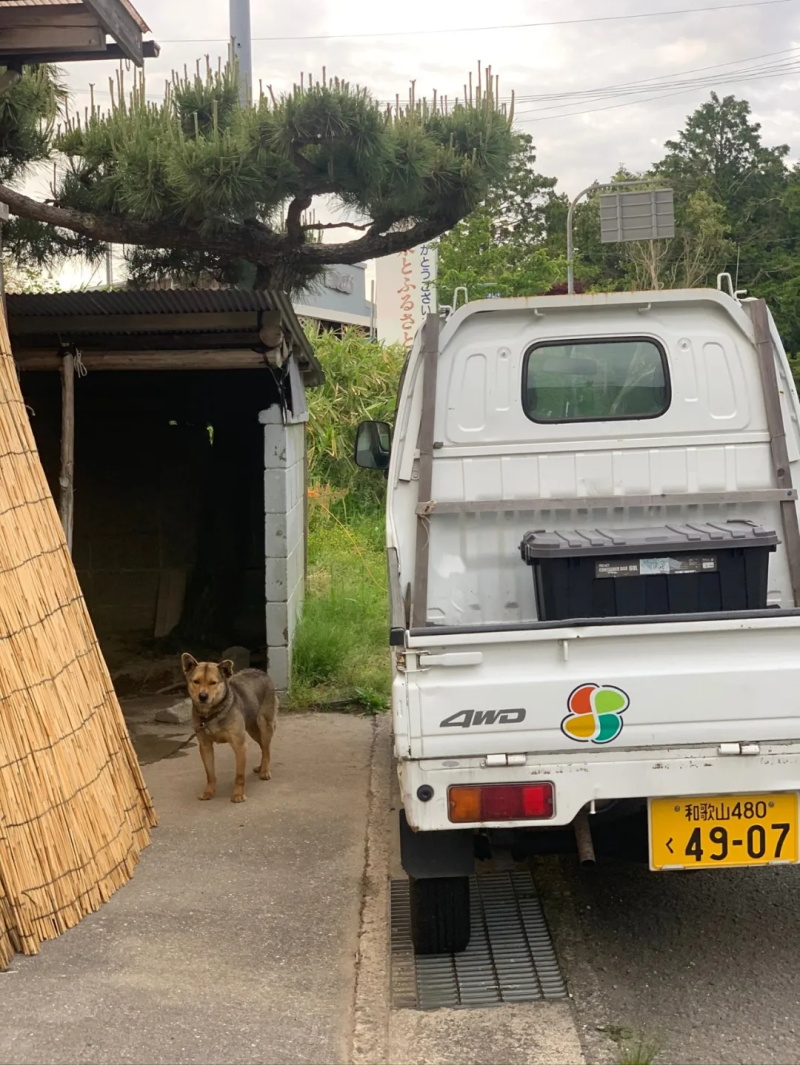 纪周山景-生石高原