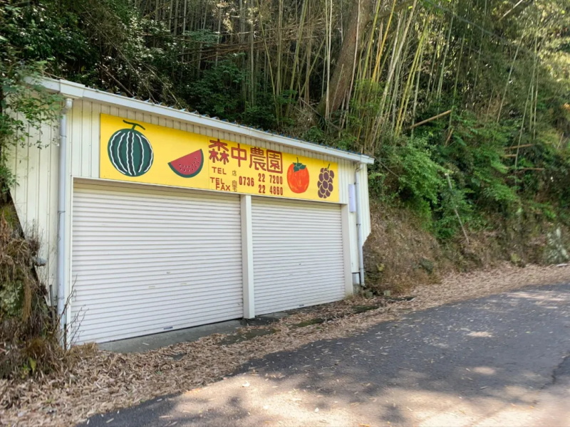 纪周山景-生石高原 纪周山景-生石高原