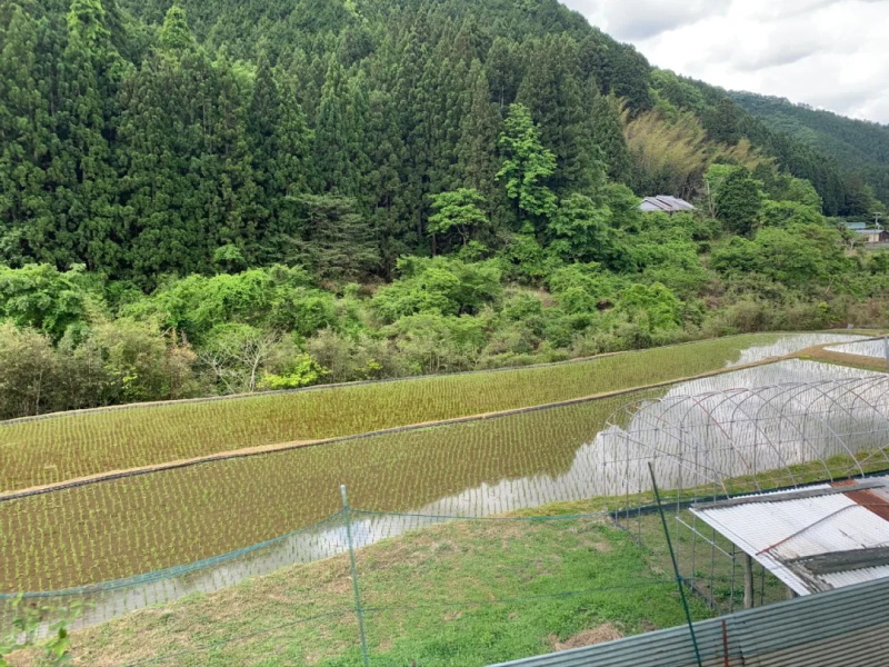 纪周山景-生石高原 纪周山景-生石高原