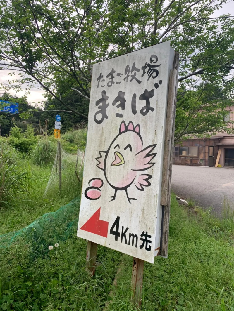 纪周山景-生石高原 纪周山景-生石高原