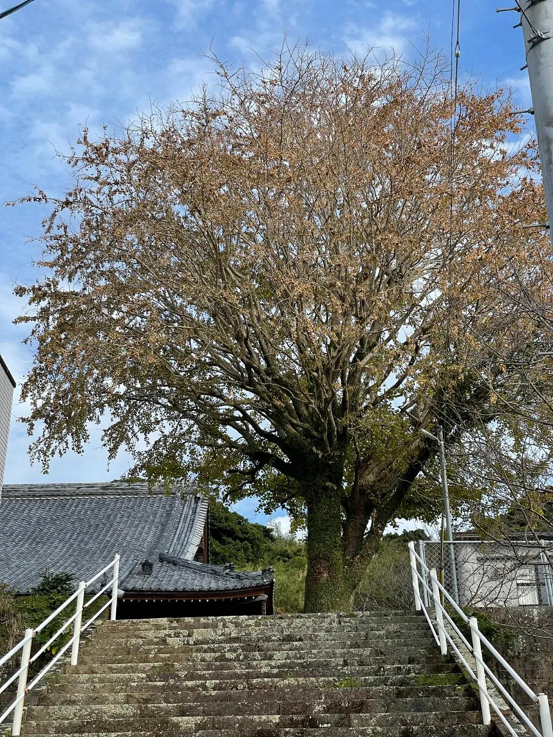 微信图片_20220127135539.jpg 微信图片_20220127135539.jpg