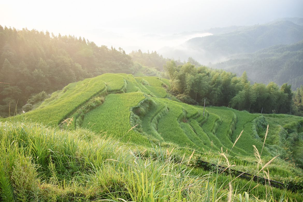 5bfd8c322585b15ffdf942c5d3741ca0.jpg 5bfd8c322585b15ffdf942c5d3741ca0.jpg